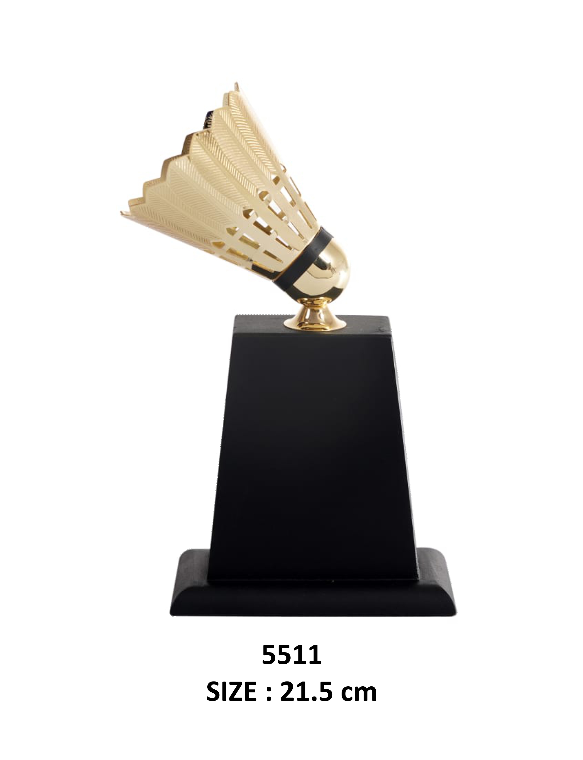 17-055511.jpg